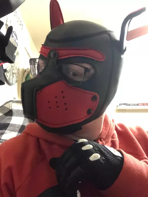 The hood that started it all