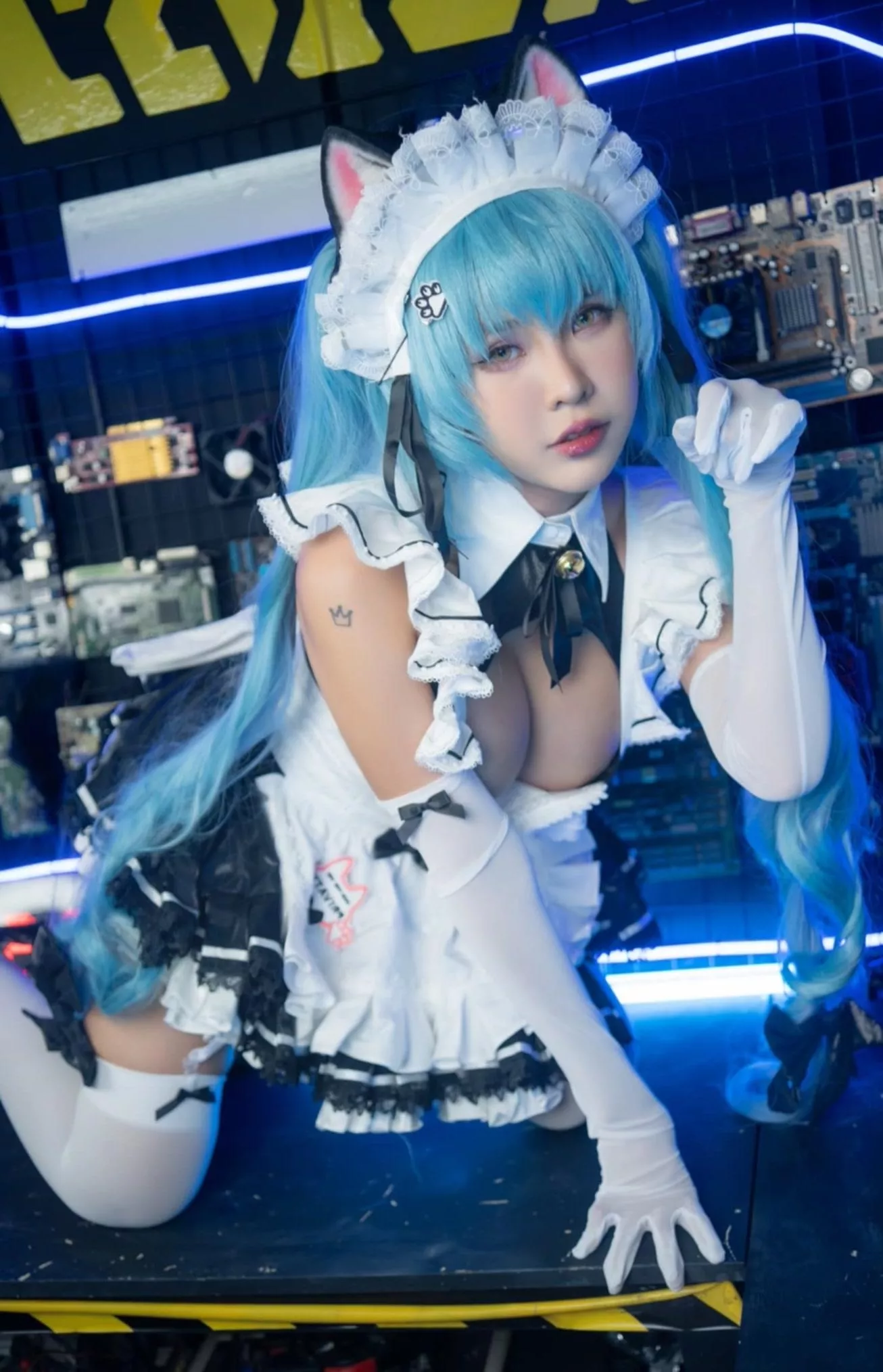 This little kitty wants to play. Let's have some fun dadi