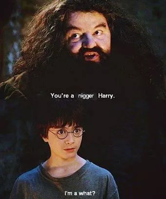You're a *booop* Harry