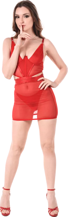 Anyone ever seen this sheer red dress?