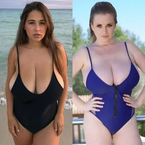 Black one- piece swimsuit or blue one-piece swimsuit ?