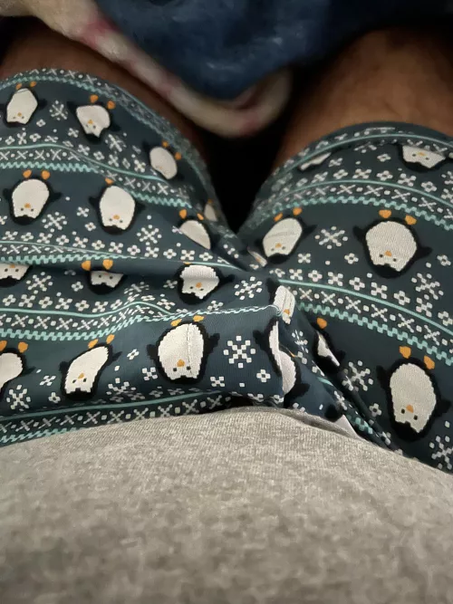 Caught my neighbors eye this morning 