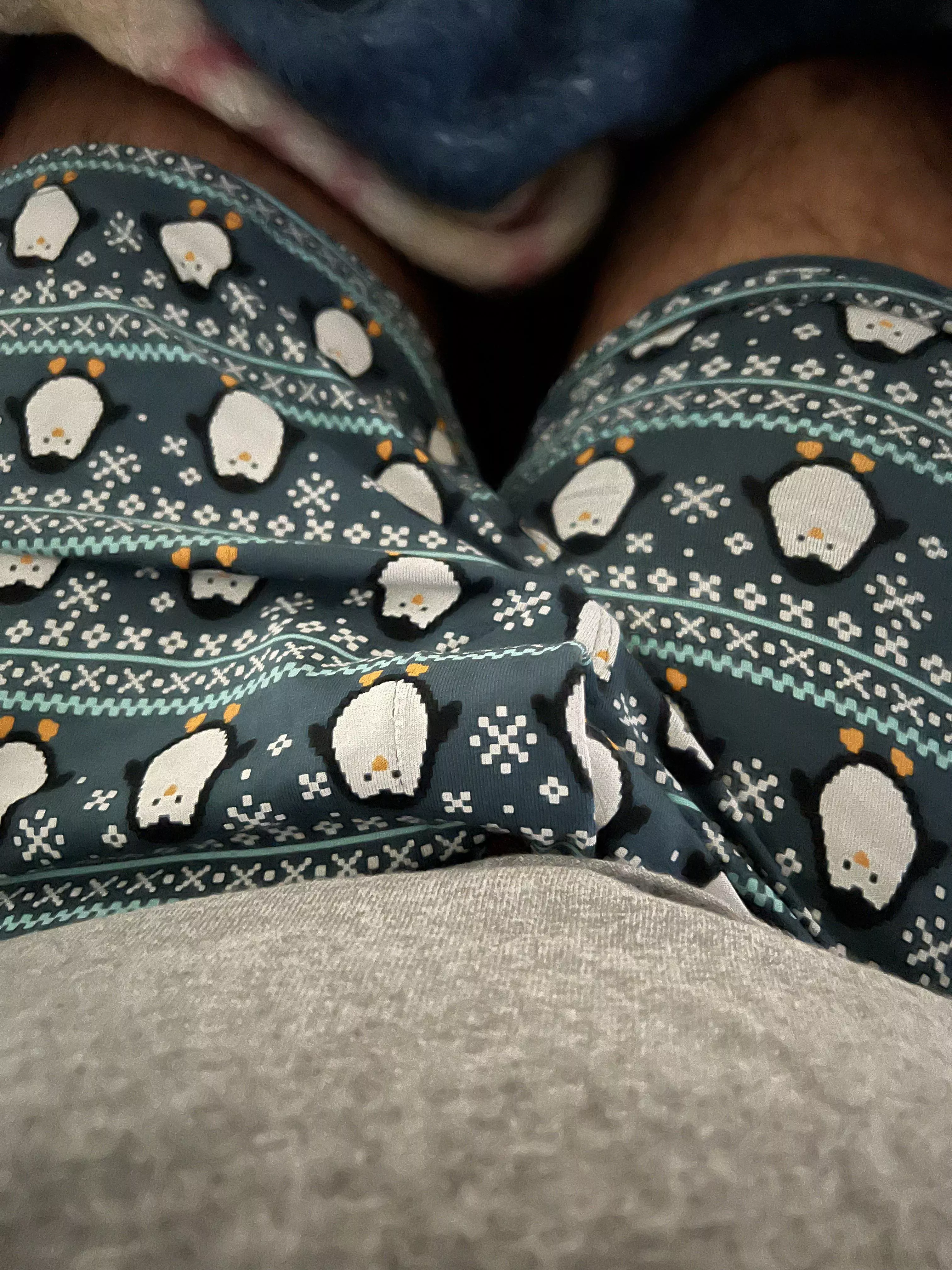 Caught my neighbors eye this morning 