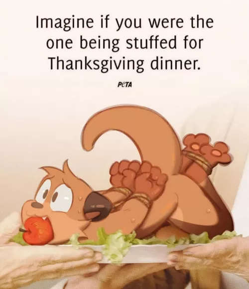 Extra stuffing please 