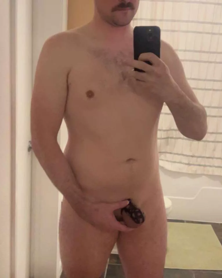 Freshly shaved for the cage. 