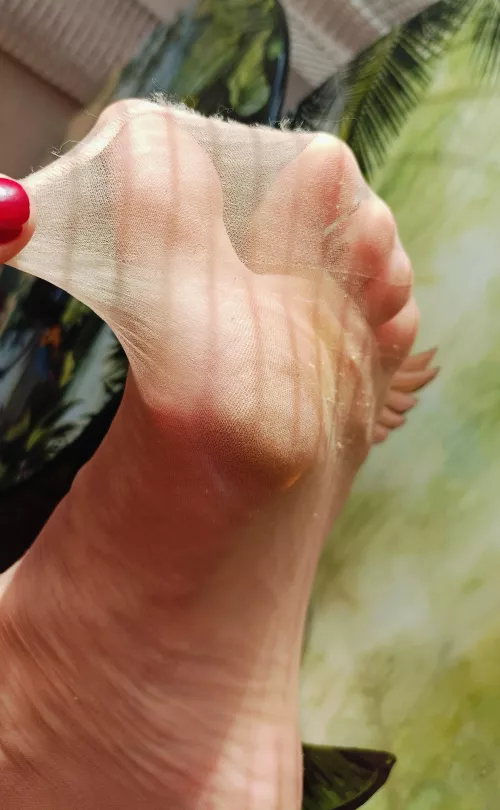 I love the sunshine through my sheers, do you? 