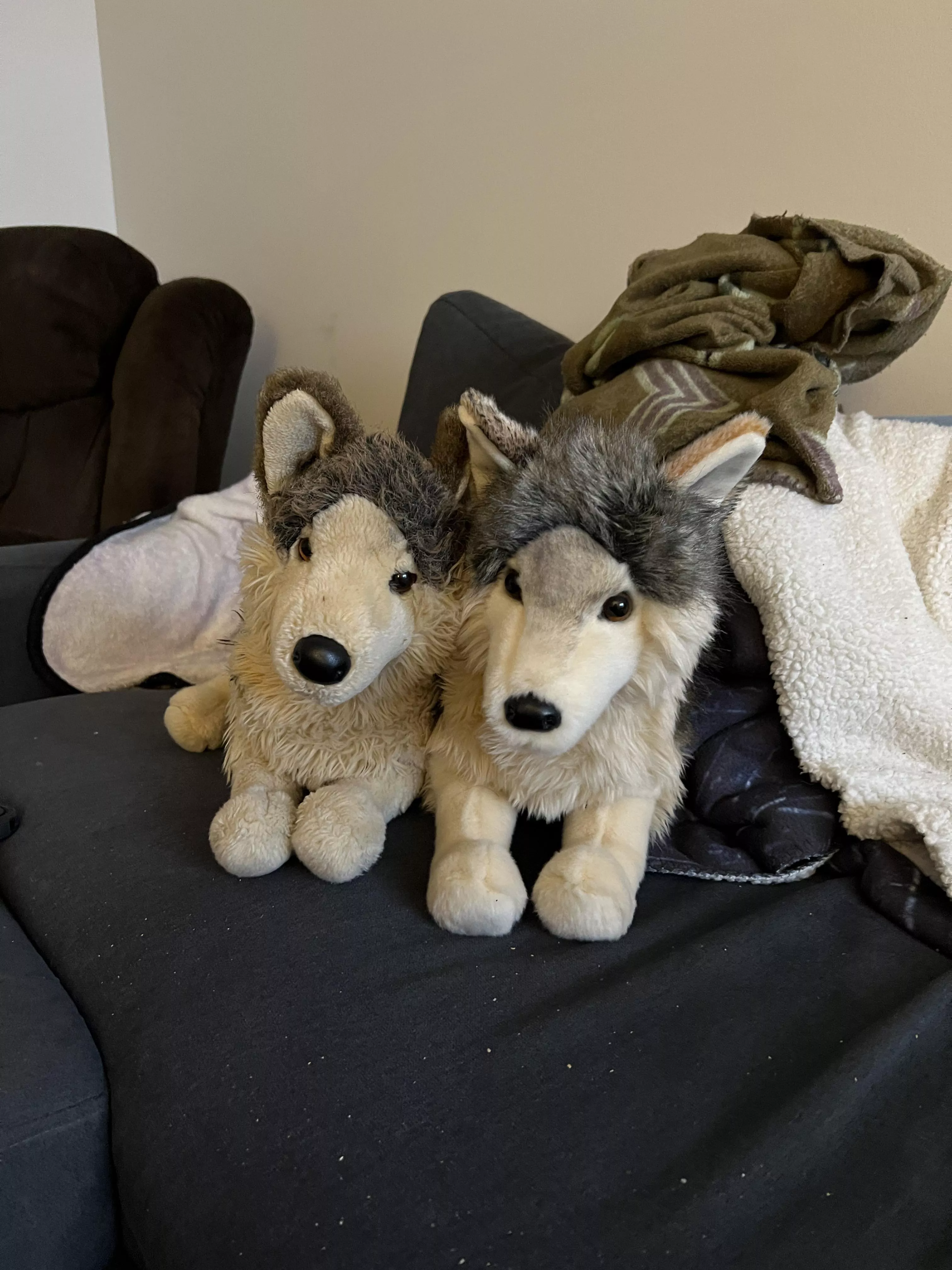 Kaala’s got a mate now!!!