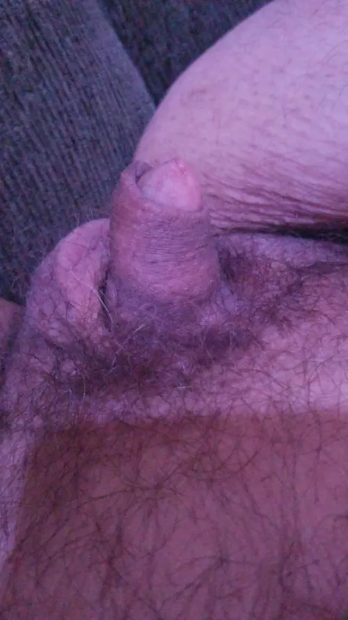 My little guy dms open 