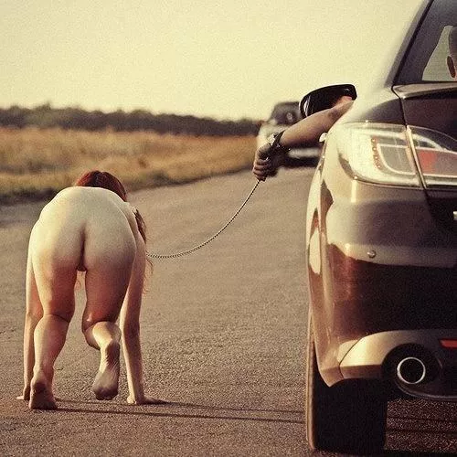 taking pet for a walk