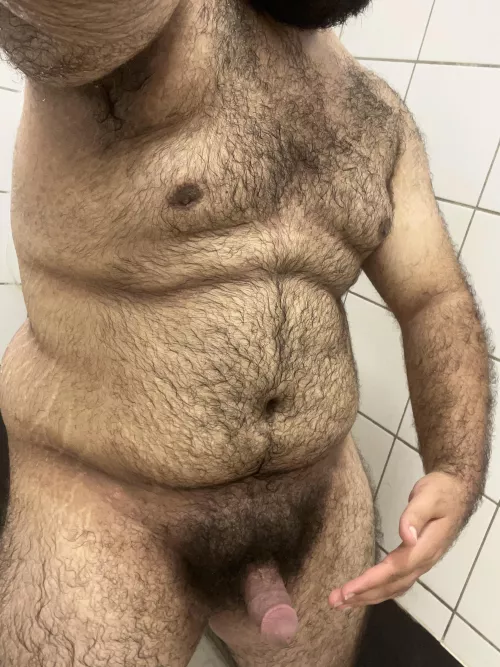 (21) hairy bottom bear, any man wanna make me his boyfriend?