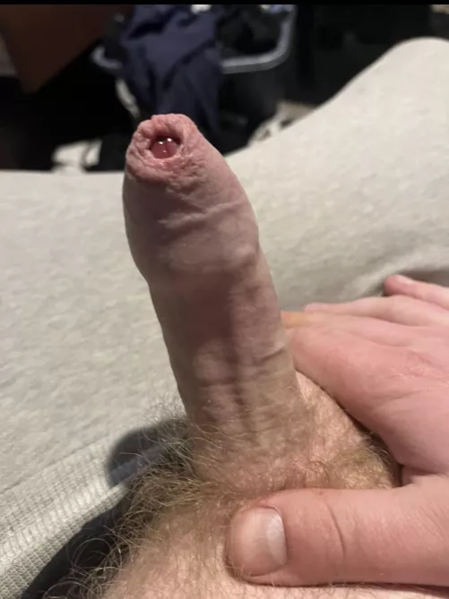 25M love sucking foreskin so much, here’s mine (dms always open)
