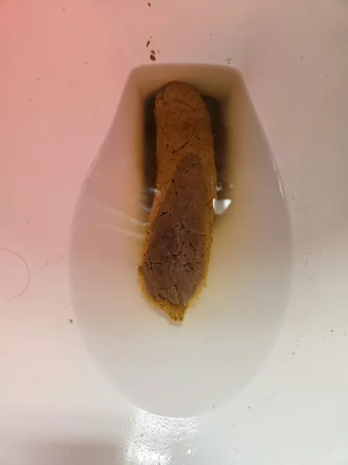 After Thanksgiving Dump 