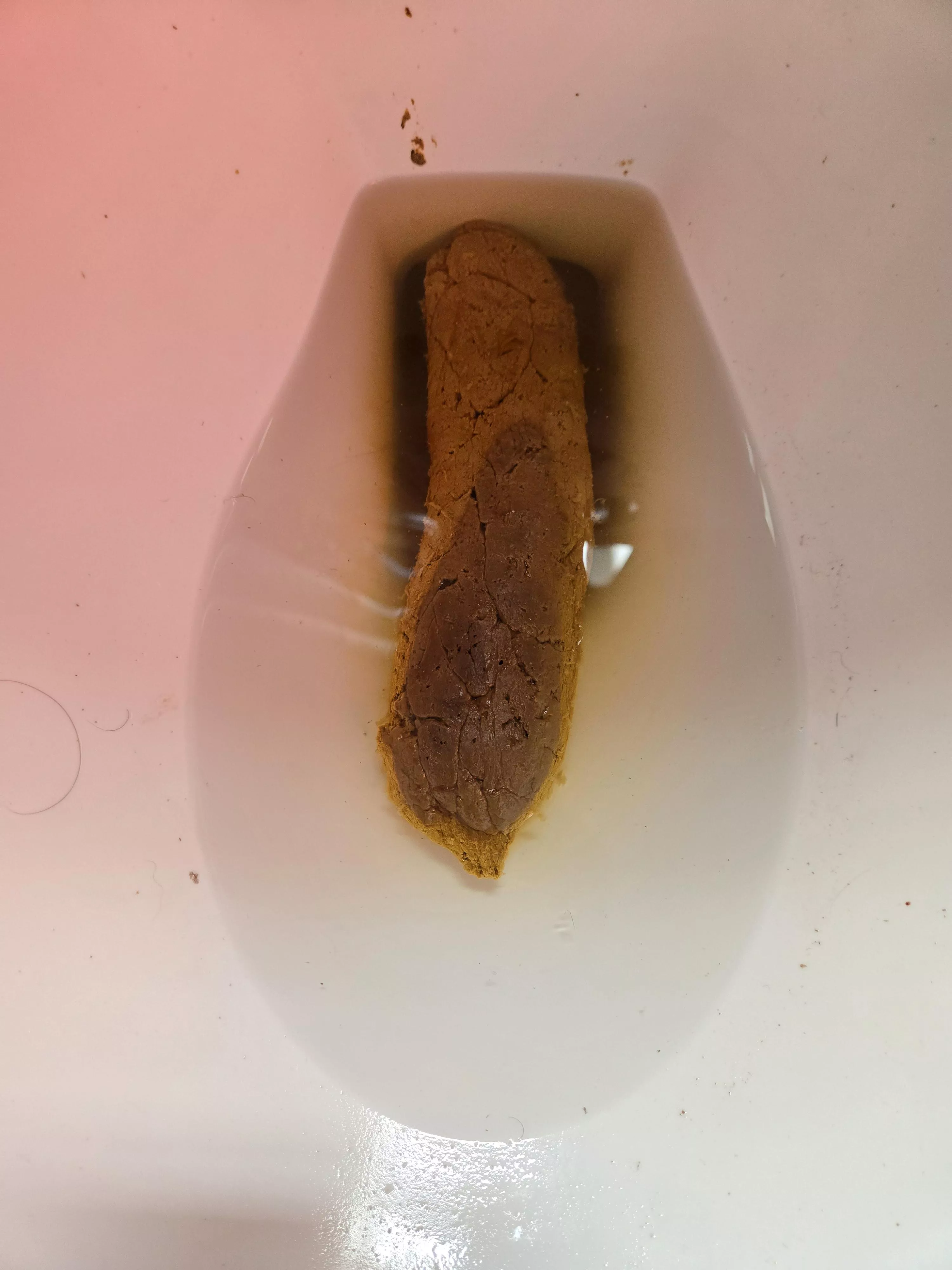 After Thanksgiving Dump 