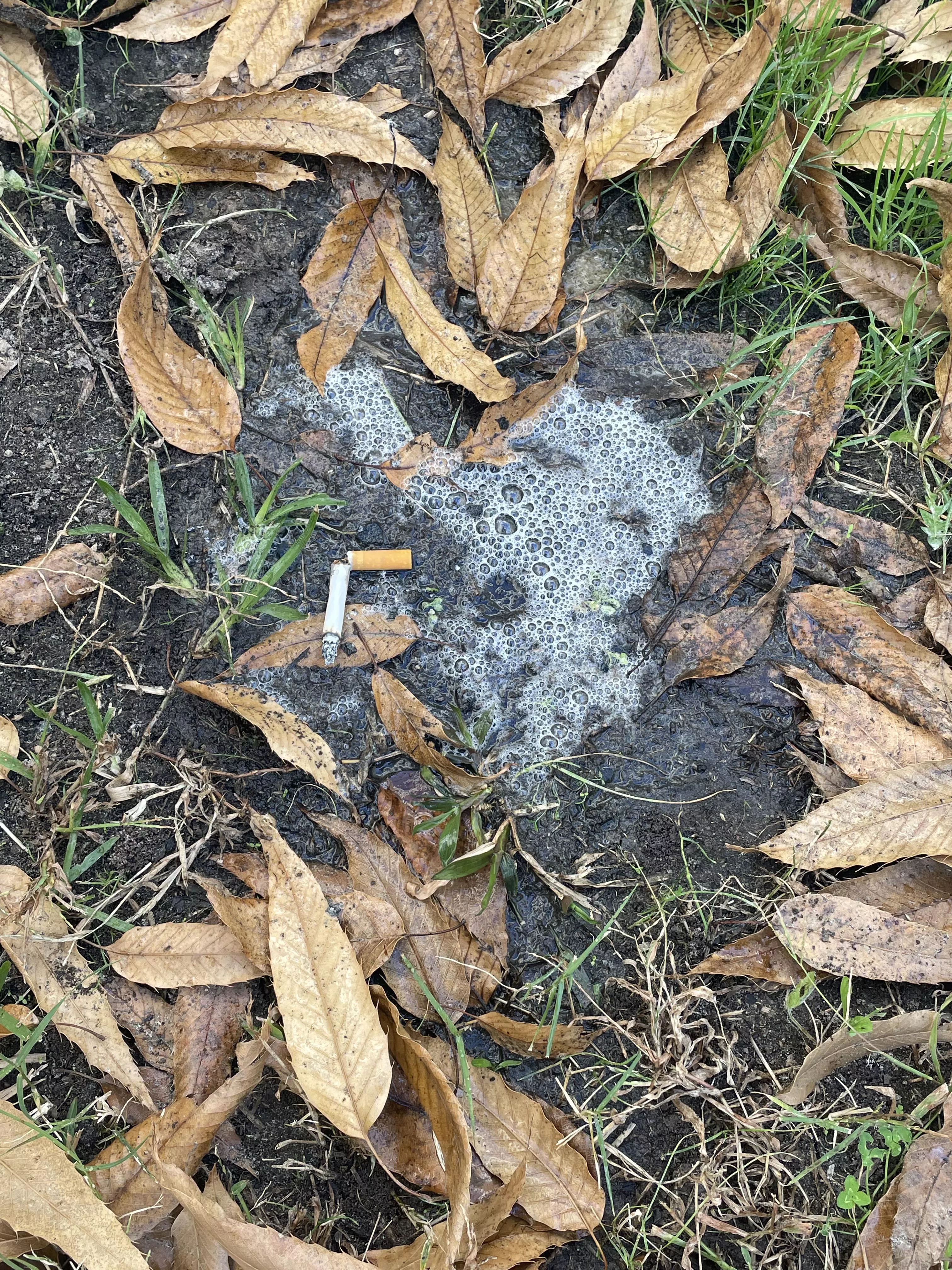 Aftermath of my smoke break (40M)