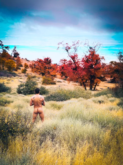 Another gorgeous view and meadow