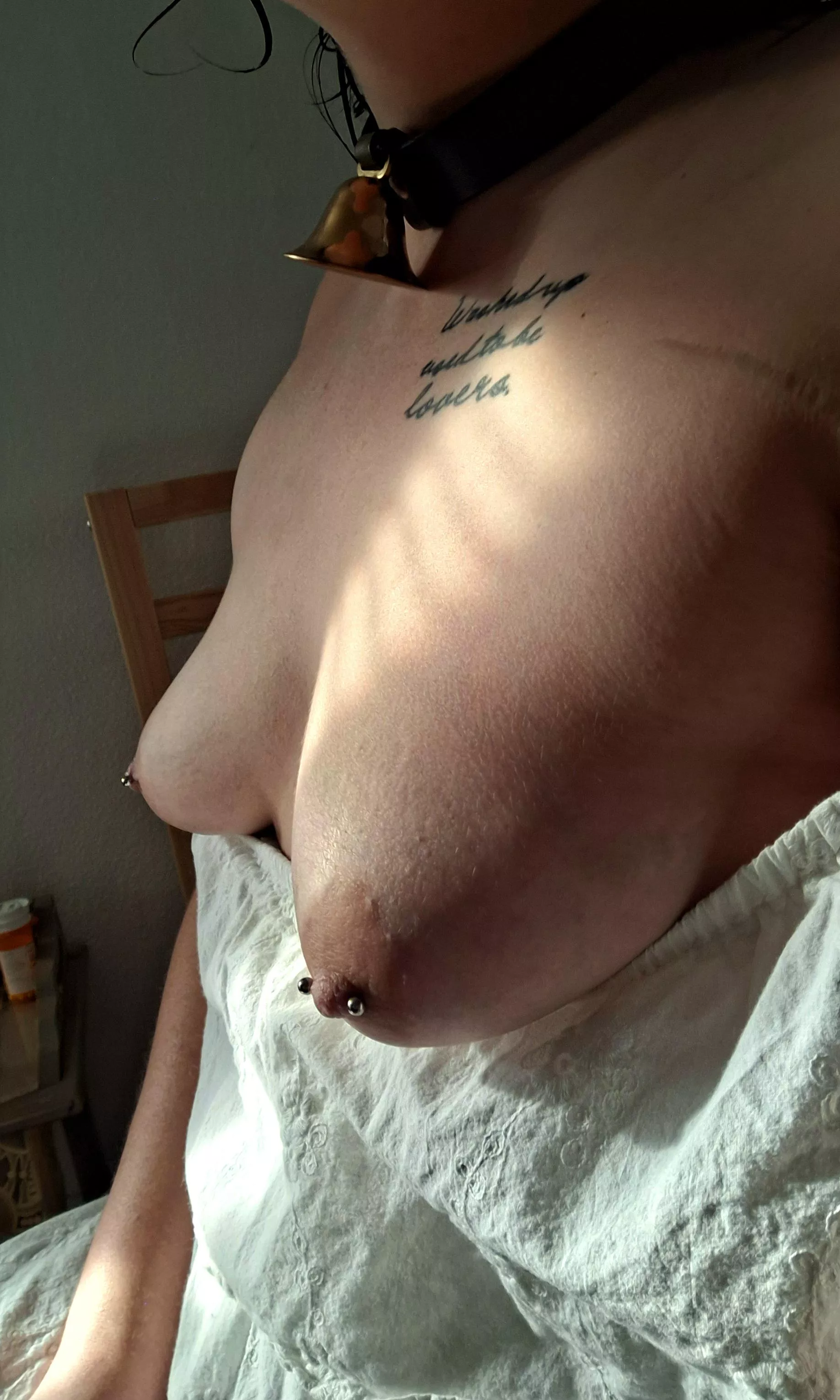 Bell collar came in the mail 