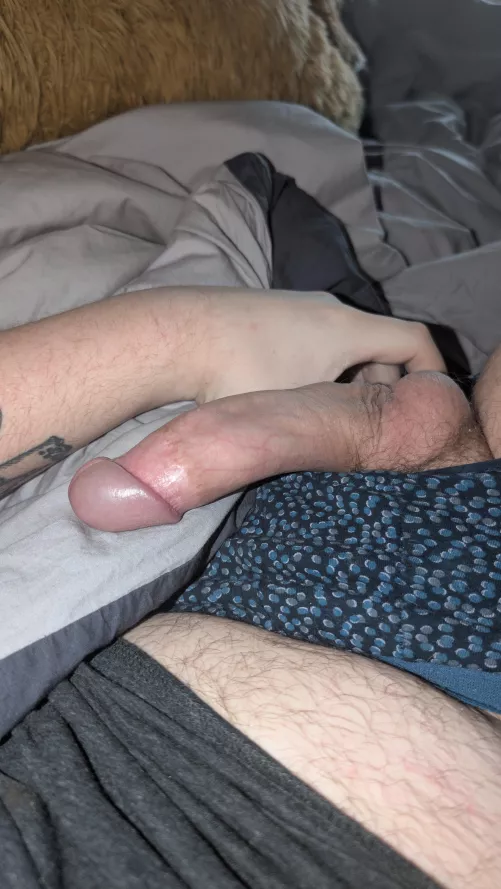 Can't get enough humiliation from you guys. What I have done to myself...