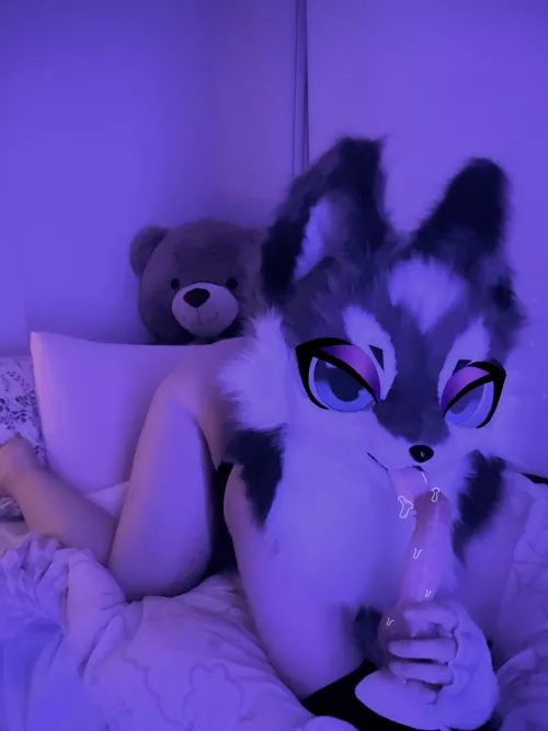 care to throw a pup a bone?