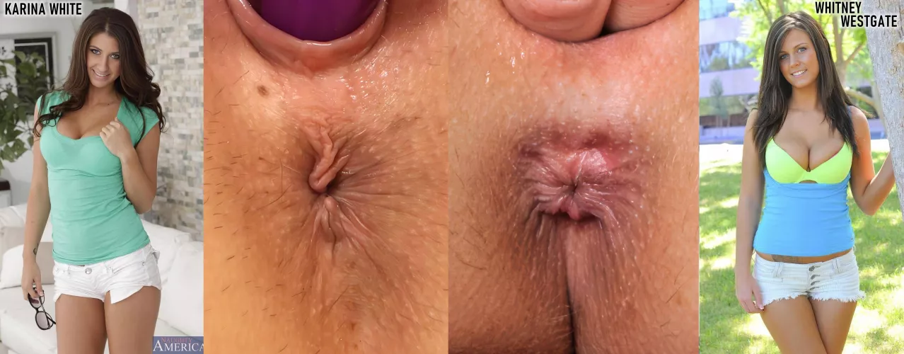Choose your college slut anus!