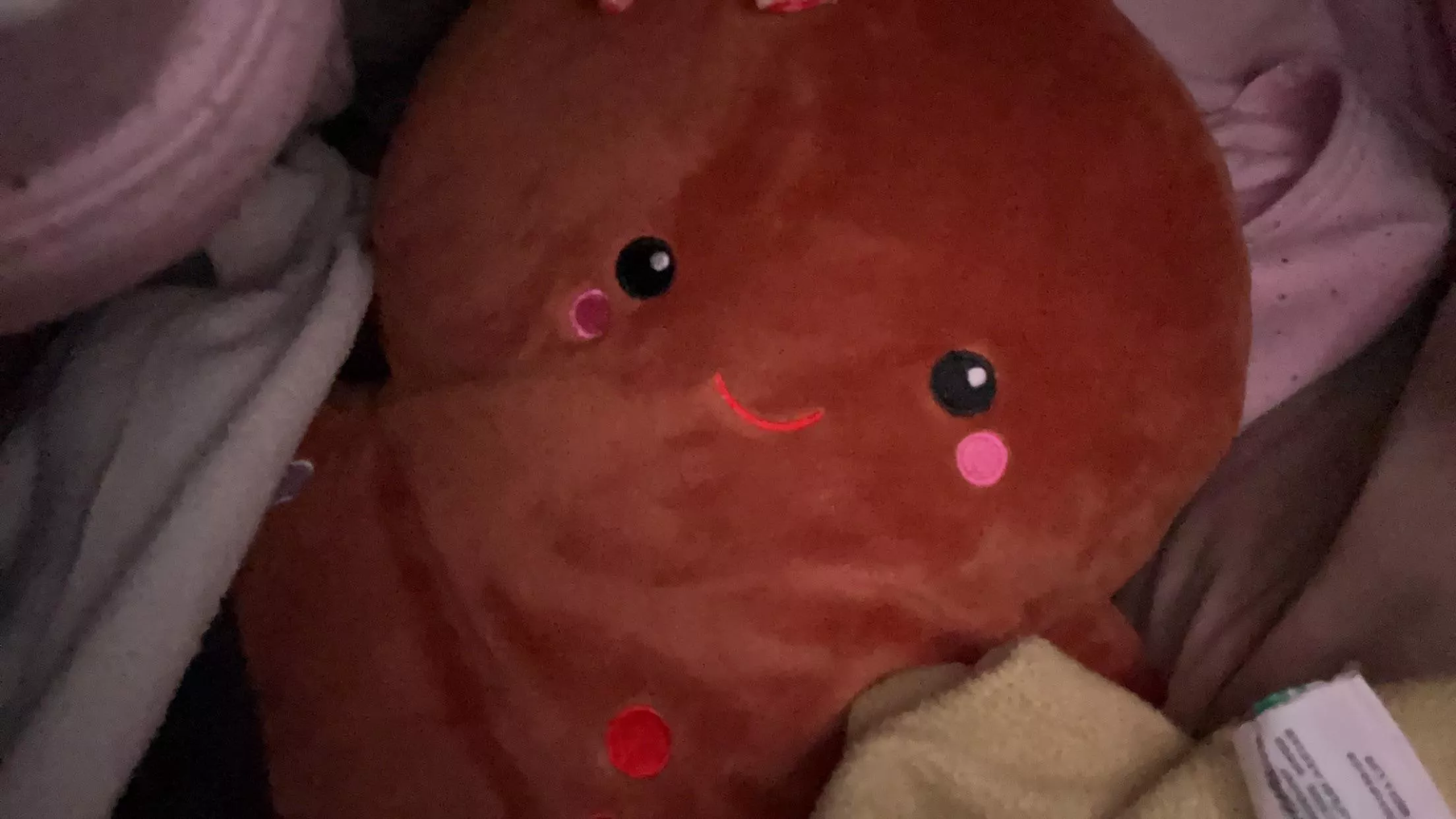 christmas themed heating pad for crampies :( 