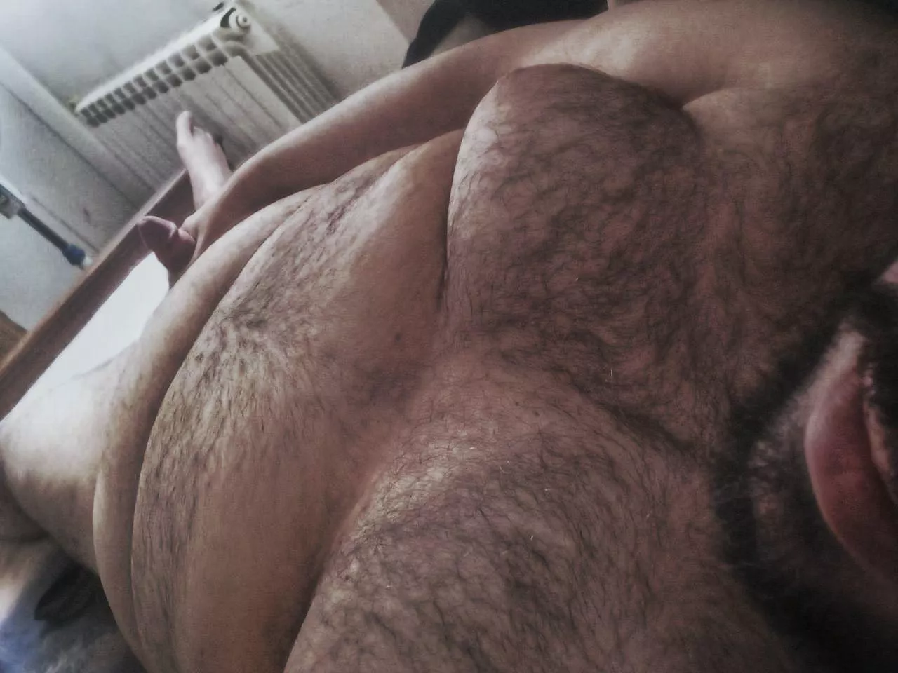 Chubby bear ready for cuffing season warm cuddles (30)