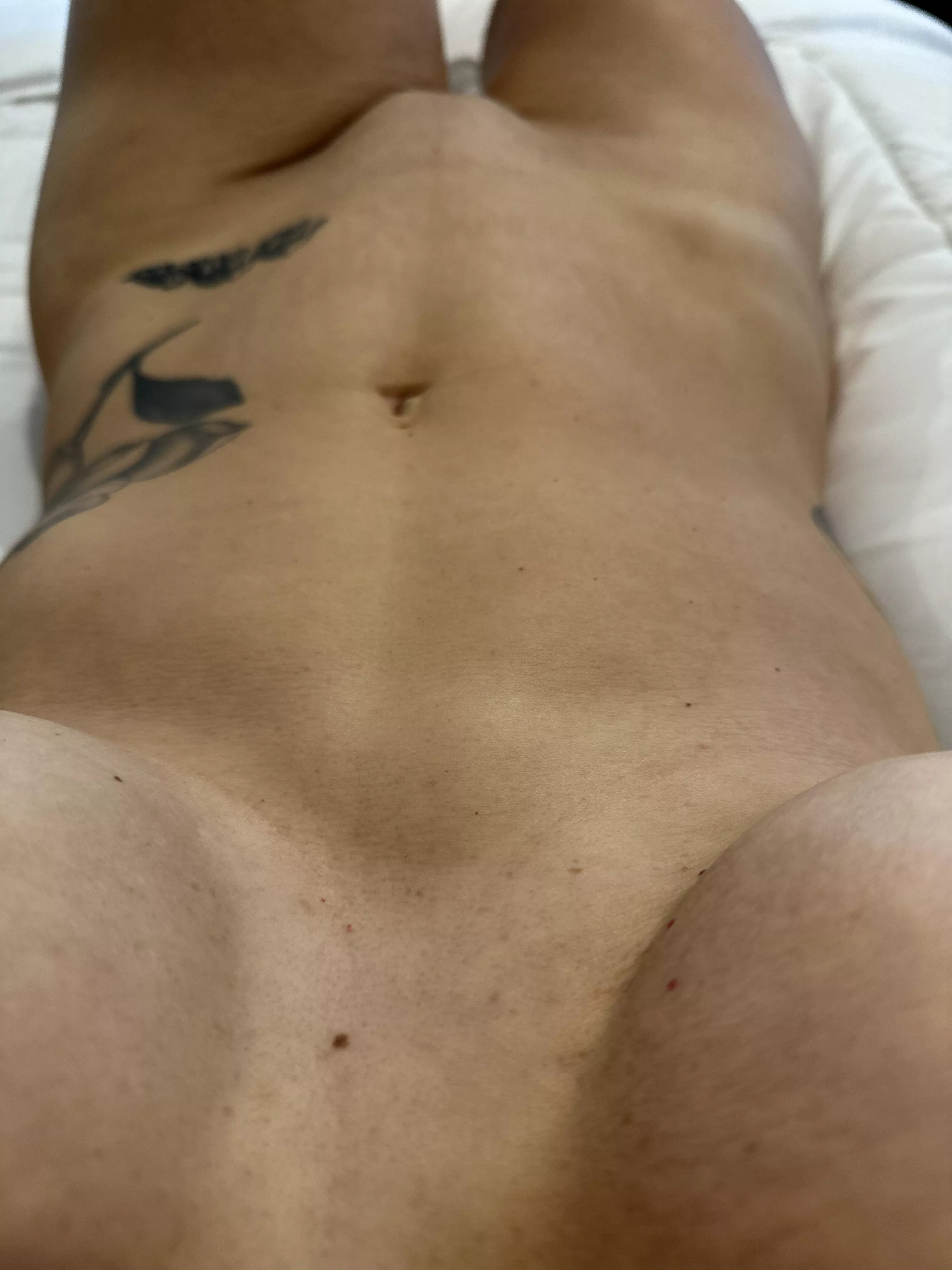 Clean and fresh, ready for a meal [img]