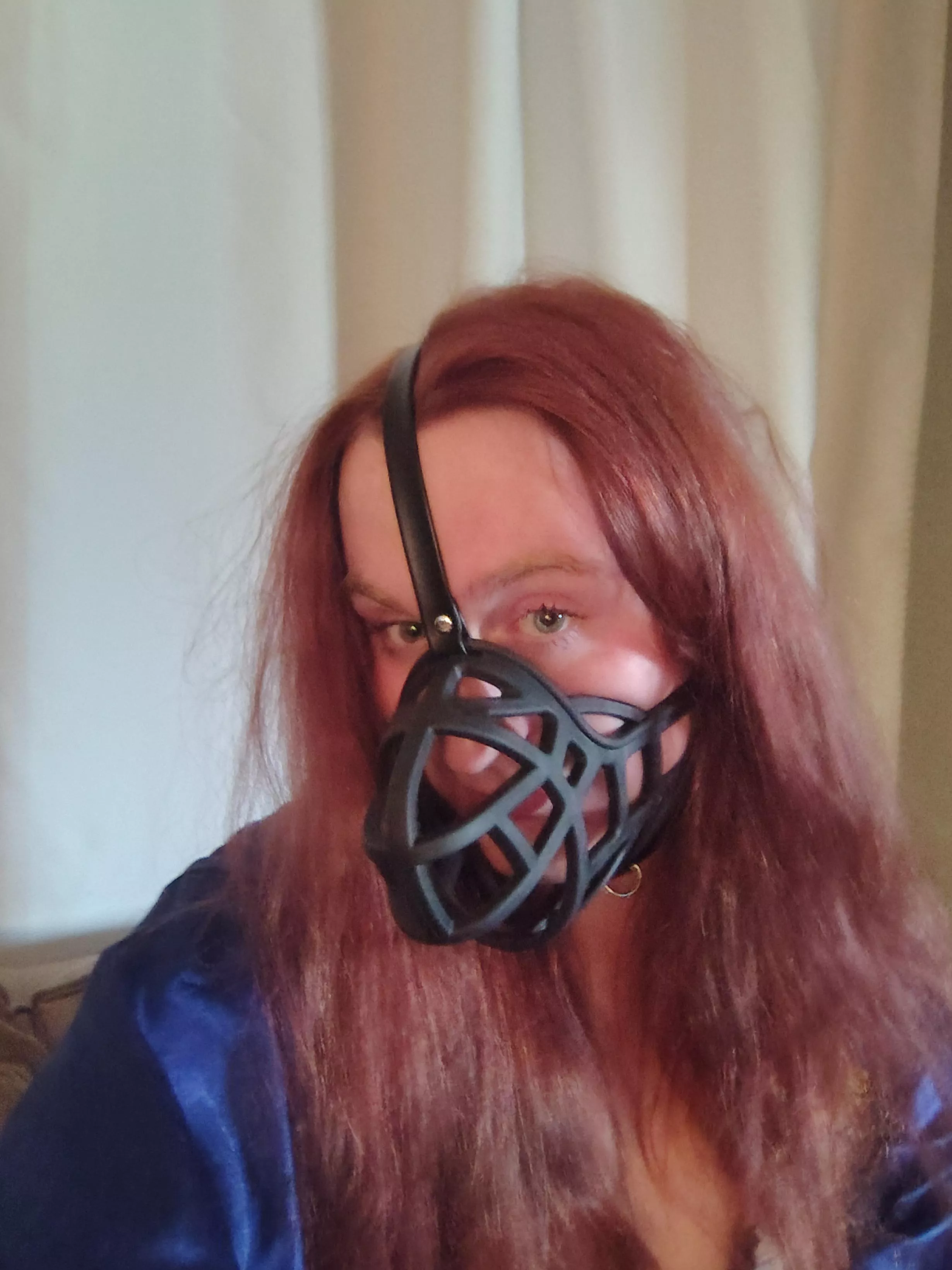 First time with a muzzle [OC]