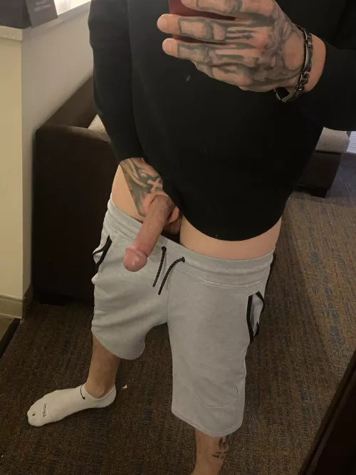 FREE trial in the comments! 