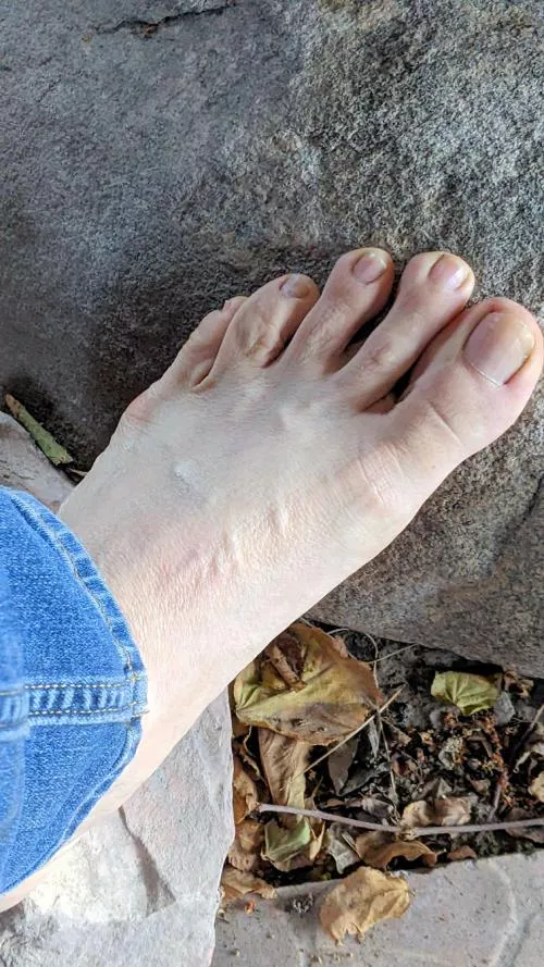 Grounded in Nature - Like'em enough to lick'em?