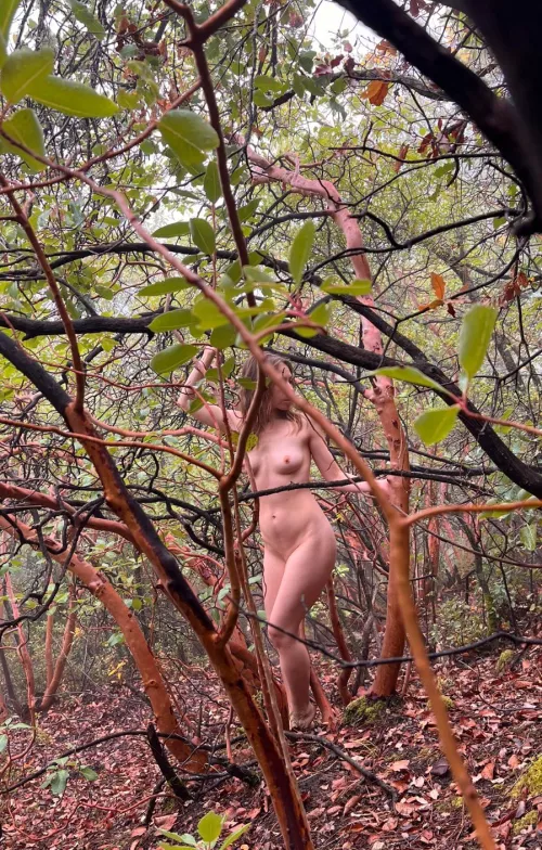 I keep exploring local forests :)