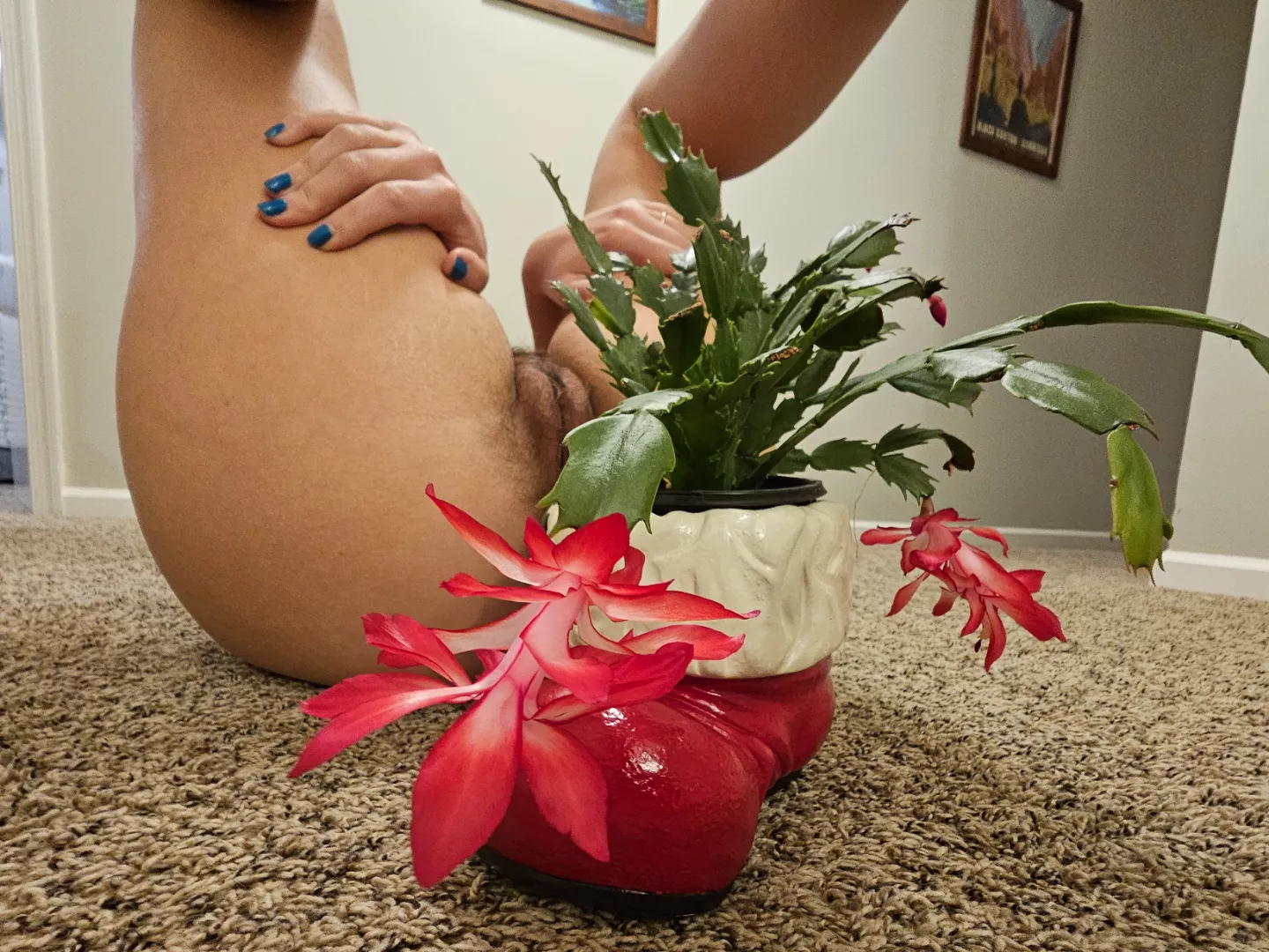 I think I'm helping it bloom 😉 🌼 