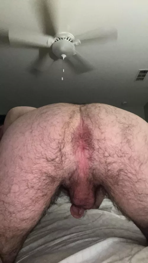 In all fours waiting to be filled 