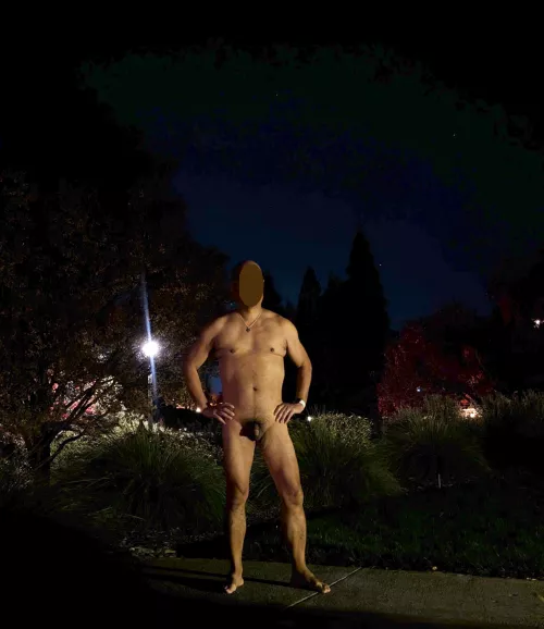 in the still of the night