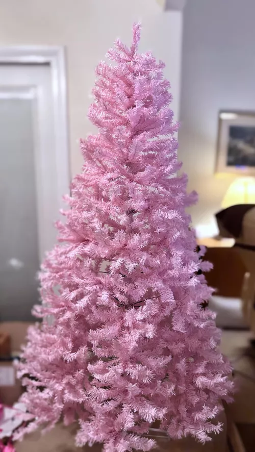 It's not even decorated and I'm in love! 💕🎄💕