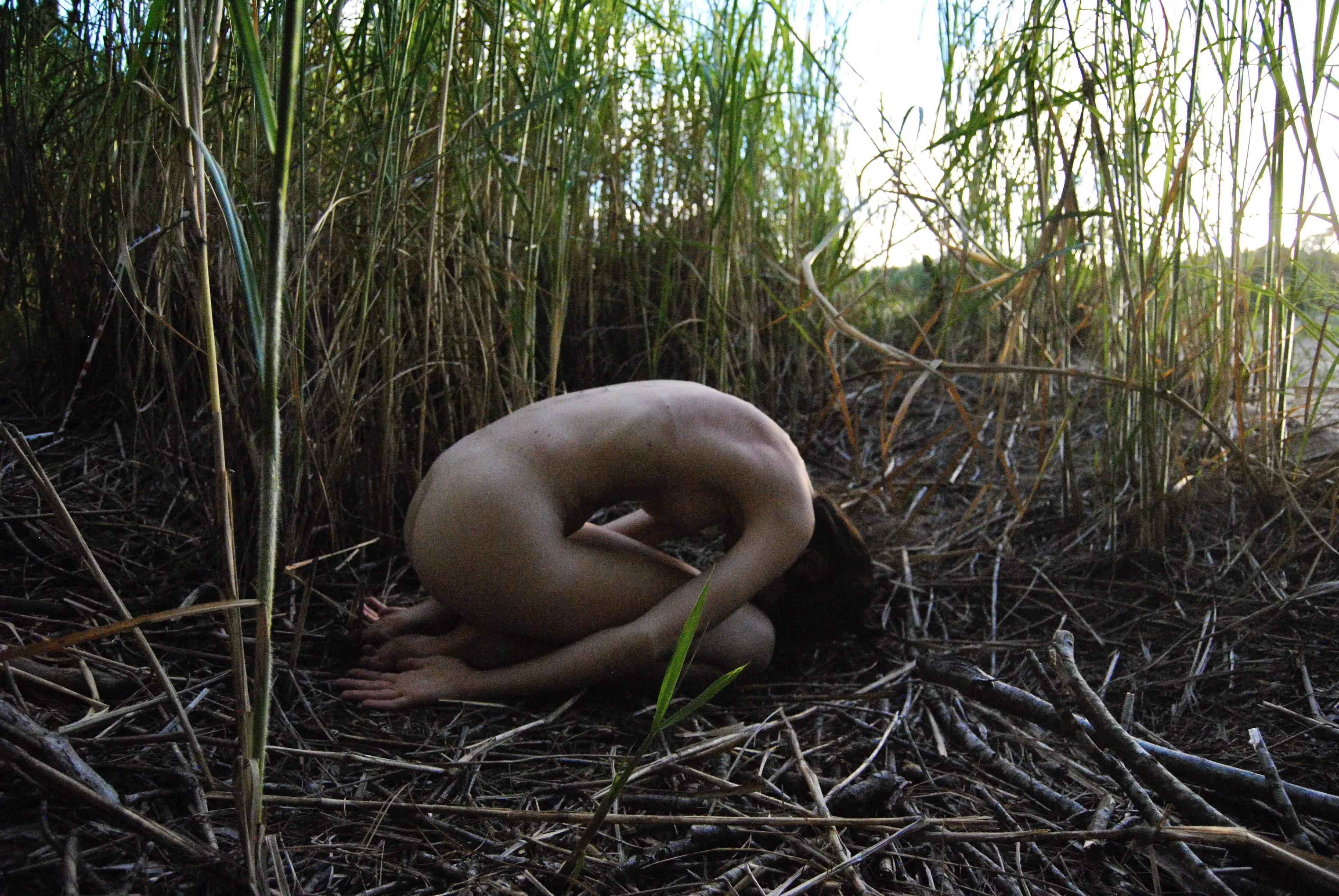 Just as one tree more…