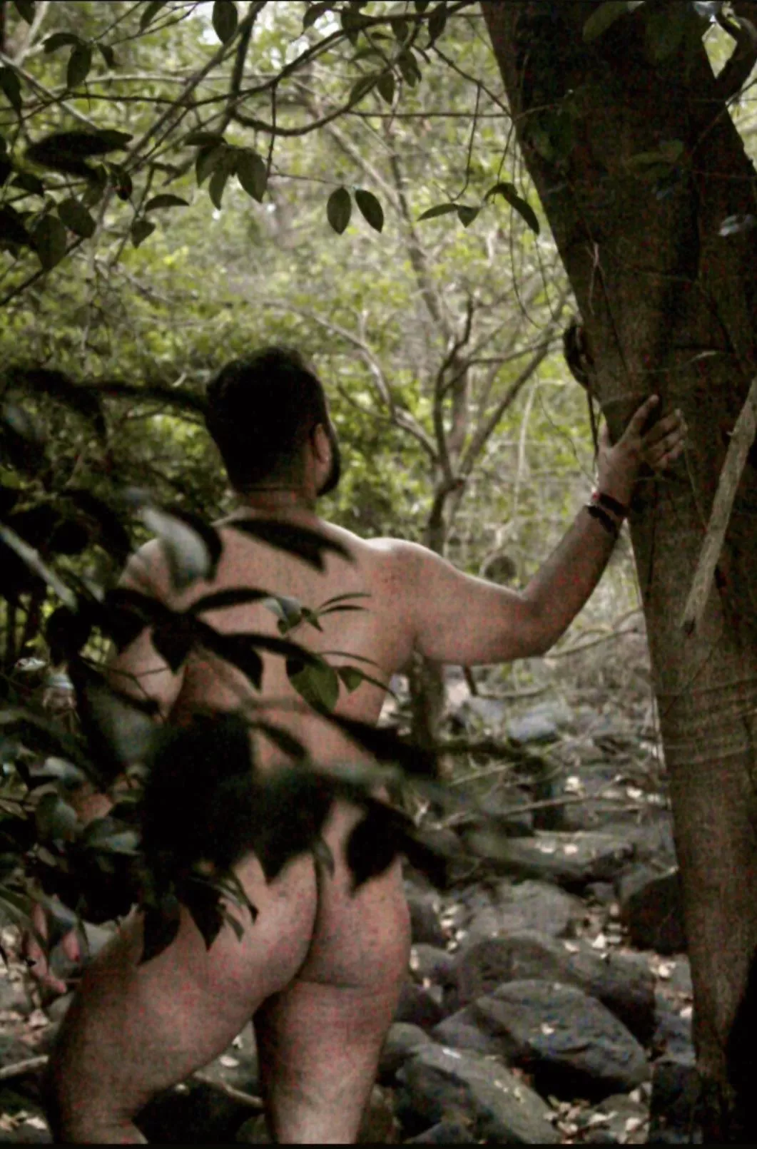 Let’s have fun in the Jungle 🌳