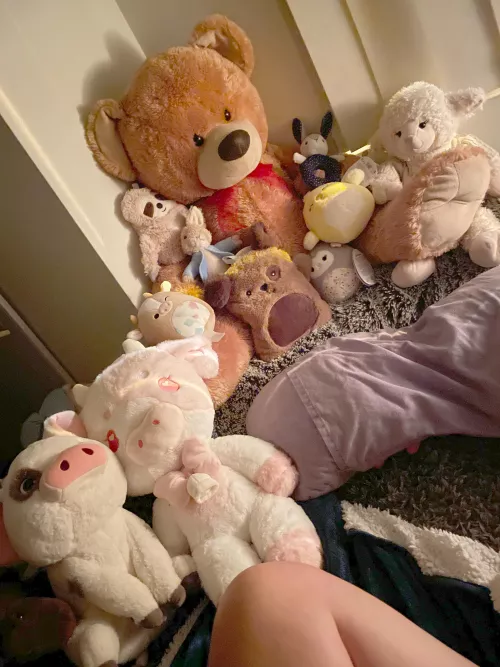 My bed for the night 👉🏼👈🏼💕…. What would you want to see me do?