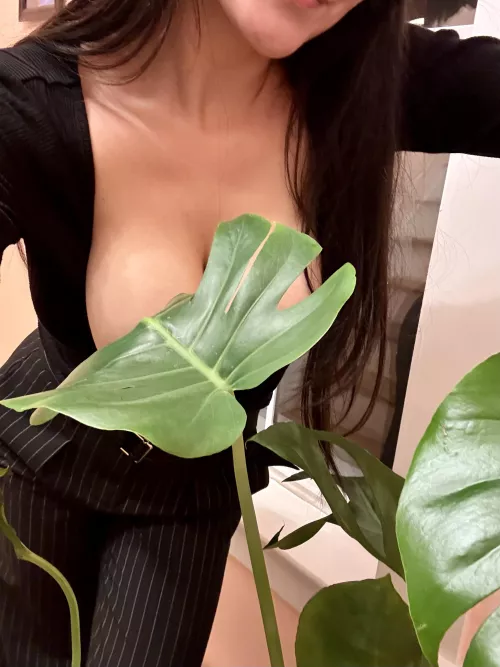 My newest plant is fitting in perfectly 