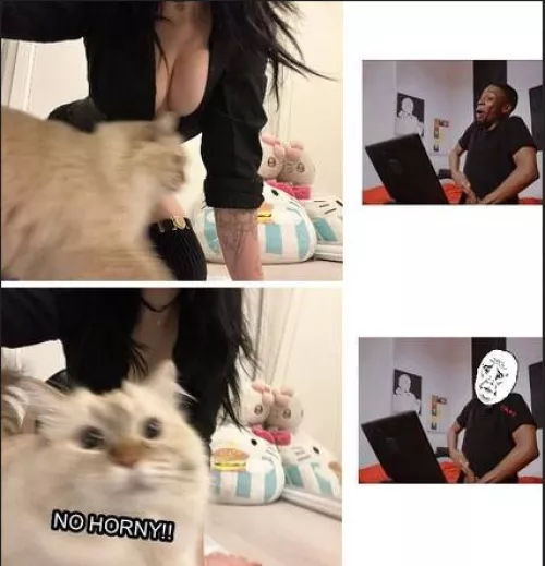 NO HORNY!!!