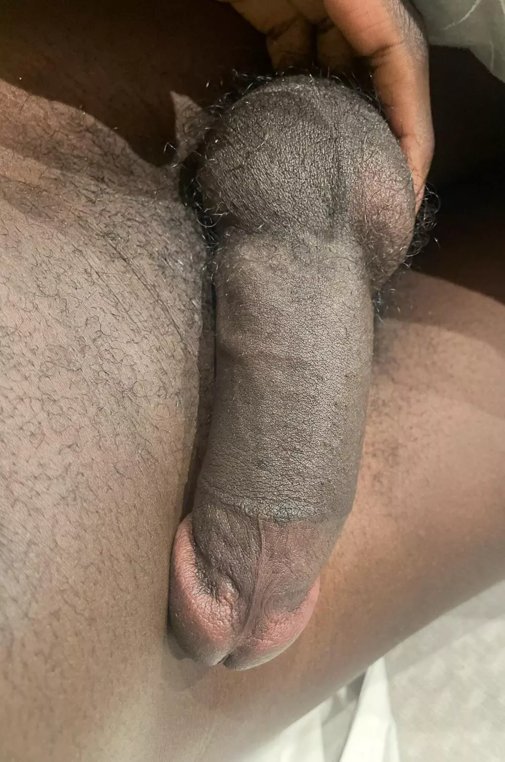 No nut Novembers over I can finally empty them 