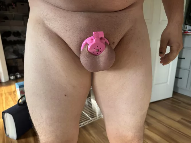 Once you go flat you won’t go back