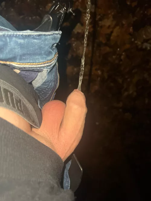 Outdoor piss