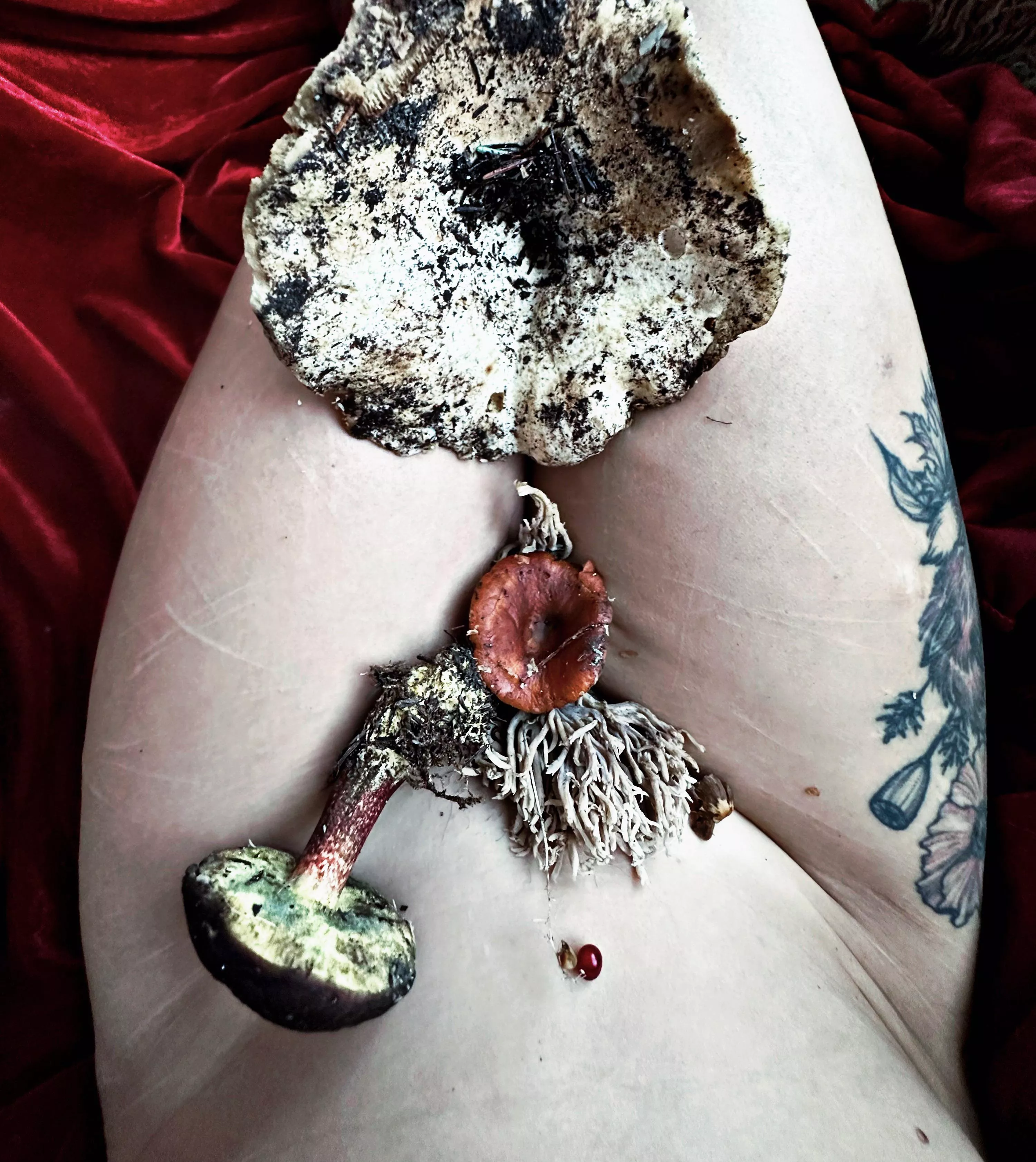 Pausing for a moment to admire some friends I found 