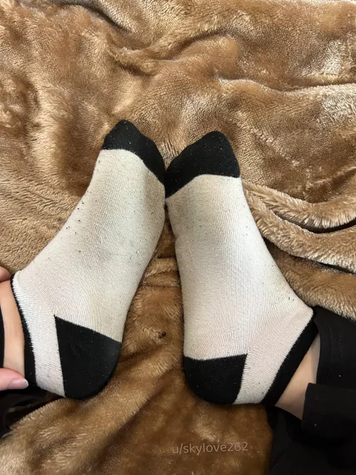 [Selling] dirty stinky socks available just for you😈