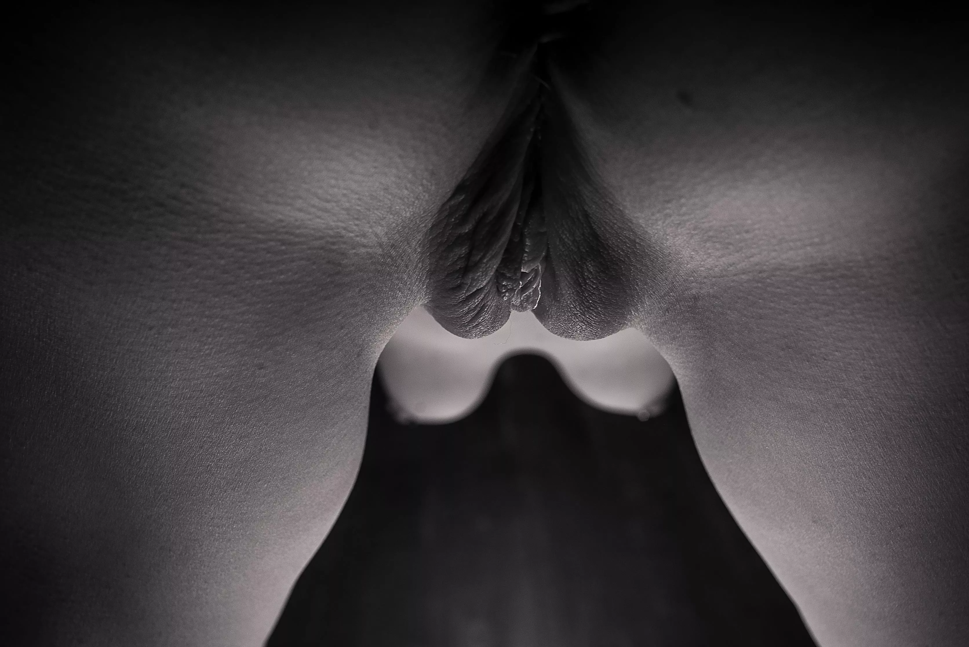 Ses parties sexuelles