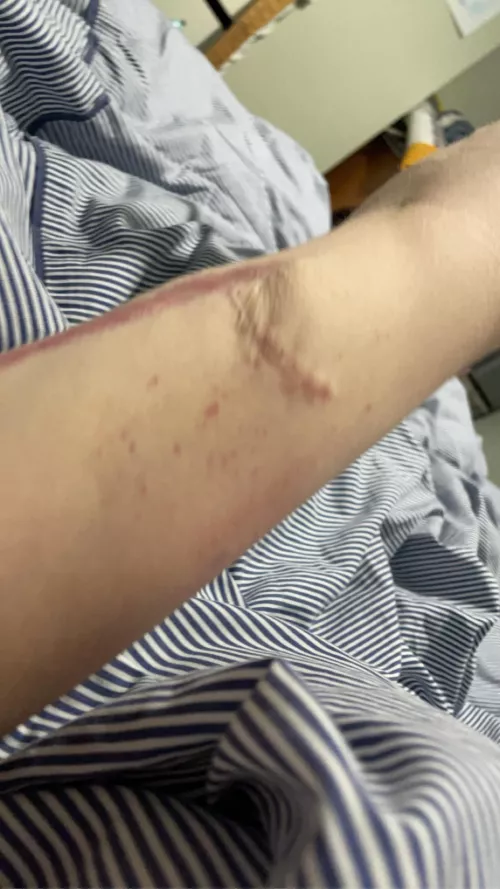 Sweet as honey cold as ice