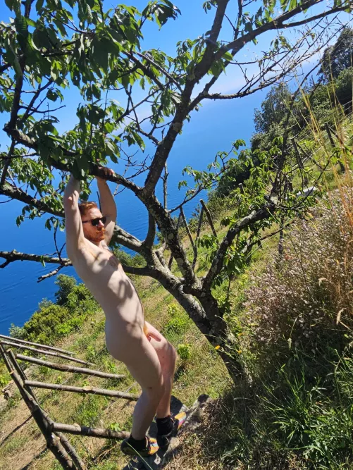 Swinging about and enjoying the view