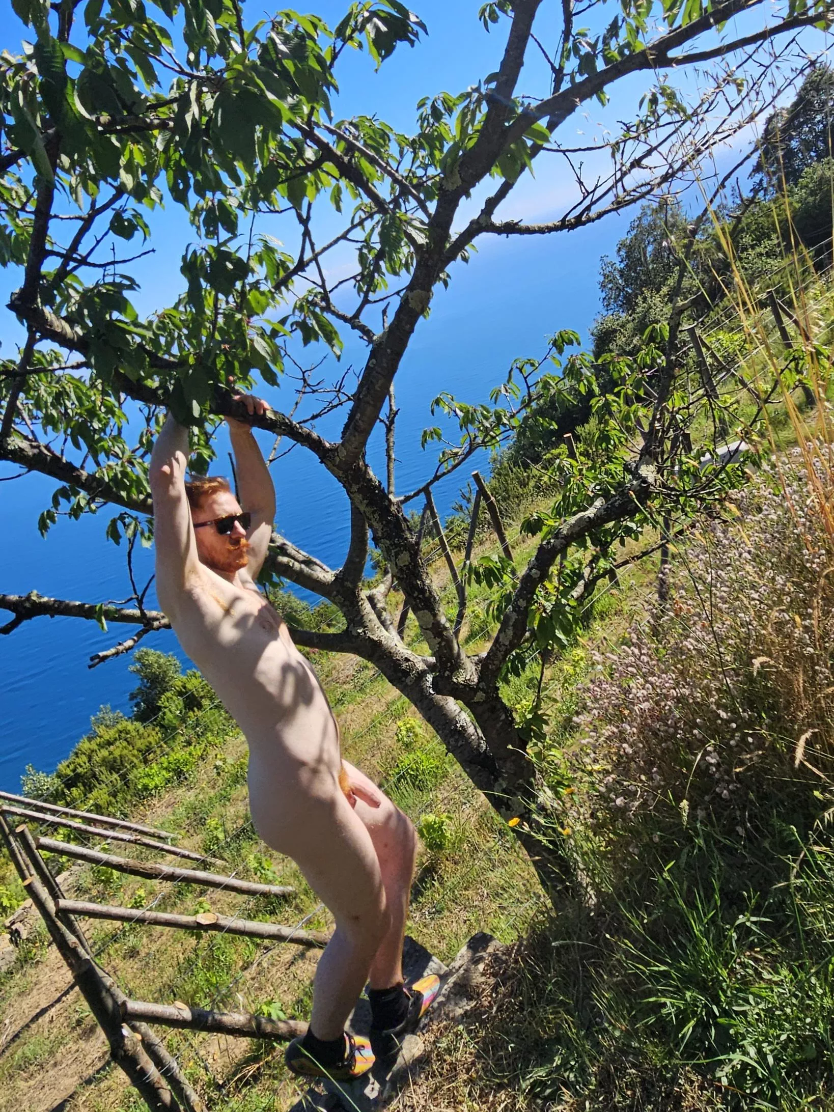 Swinging about and enjoying the view