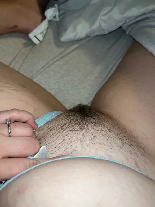 The bush is full of secrets 