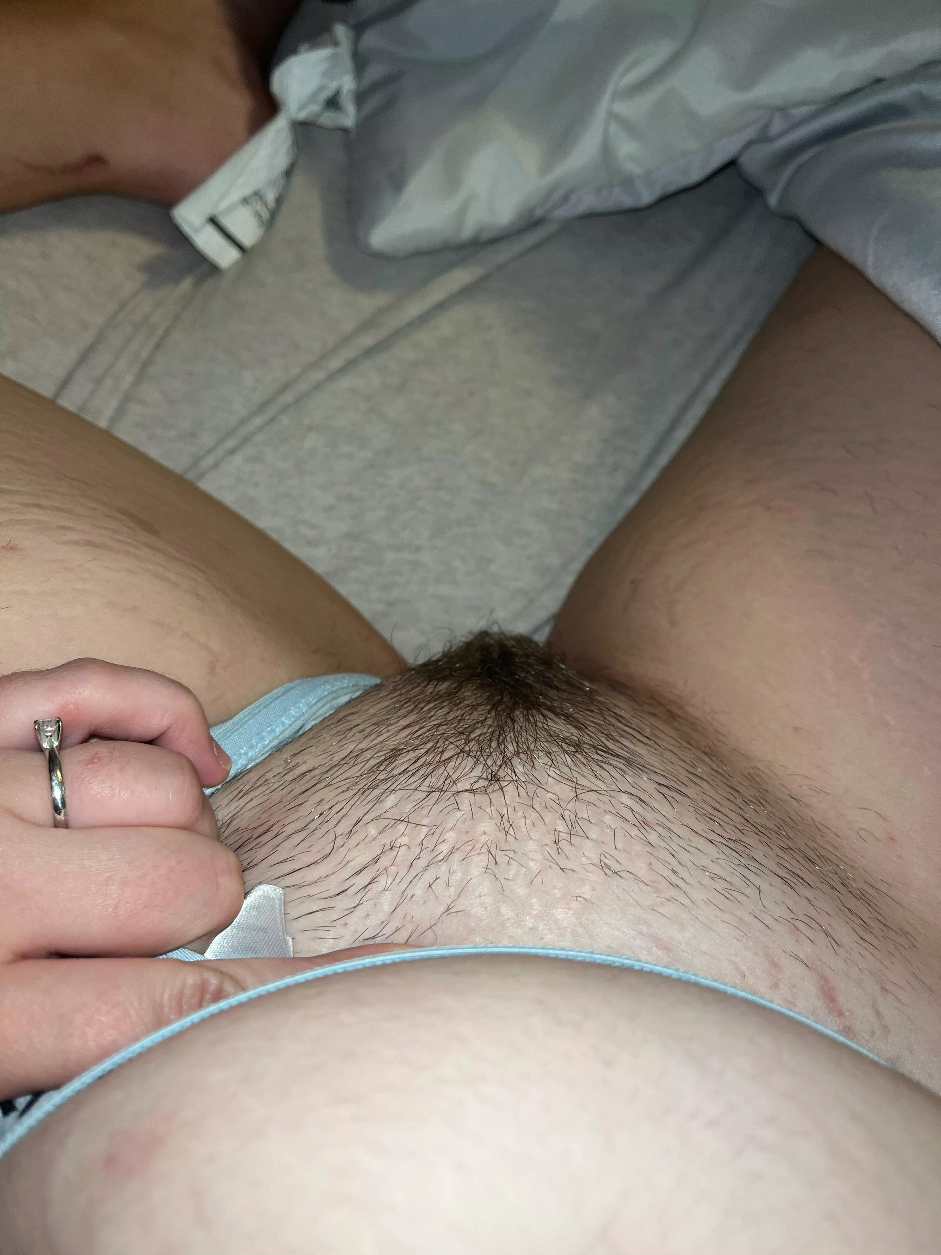 The bush is full of secrets 